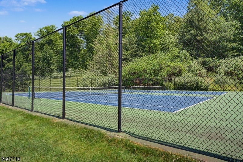 Tennis, Pickleball
