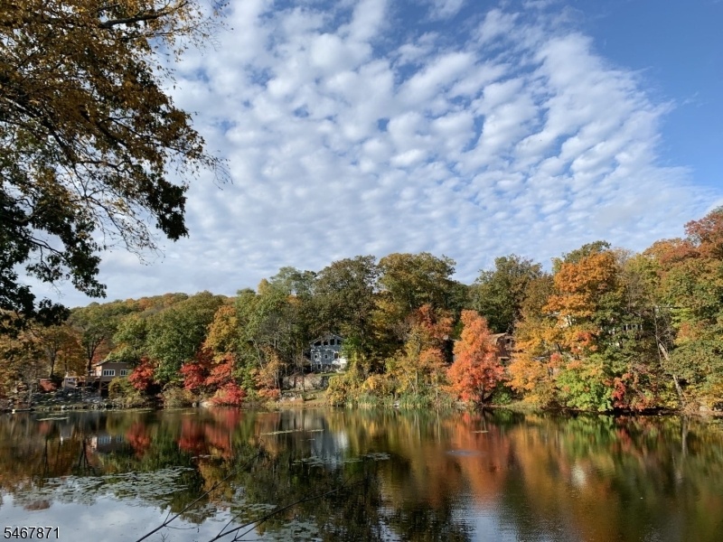 Fall View