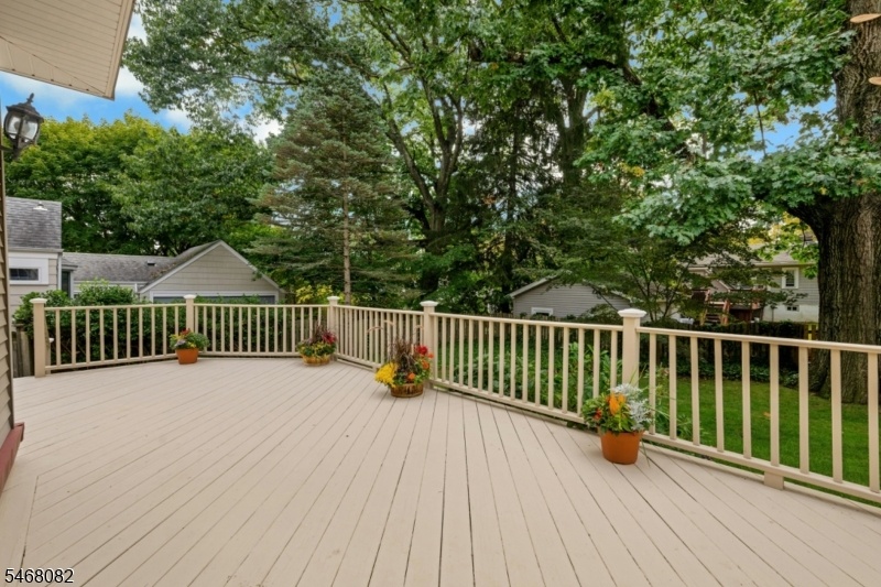 Large Deck