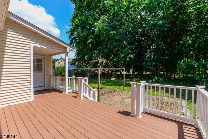 back yard
