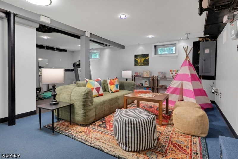 Lower Level living Room