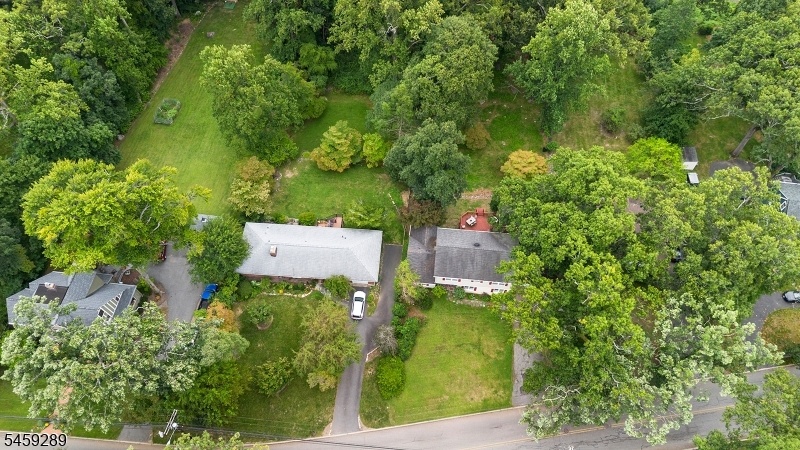 aerial