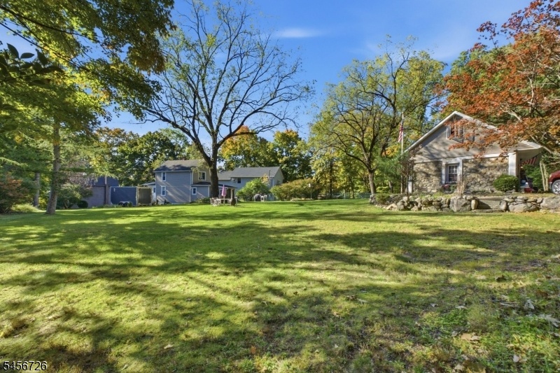 Back yard