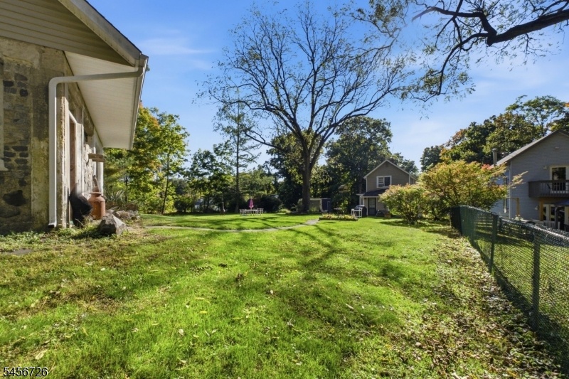 Back yard