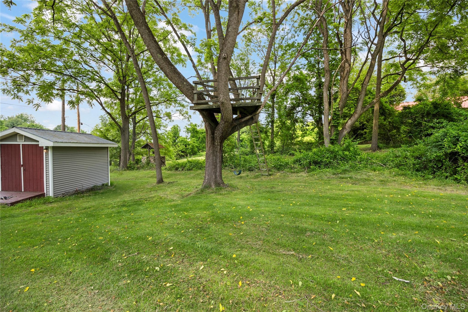 View of grassy yard with a shed