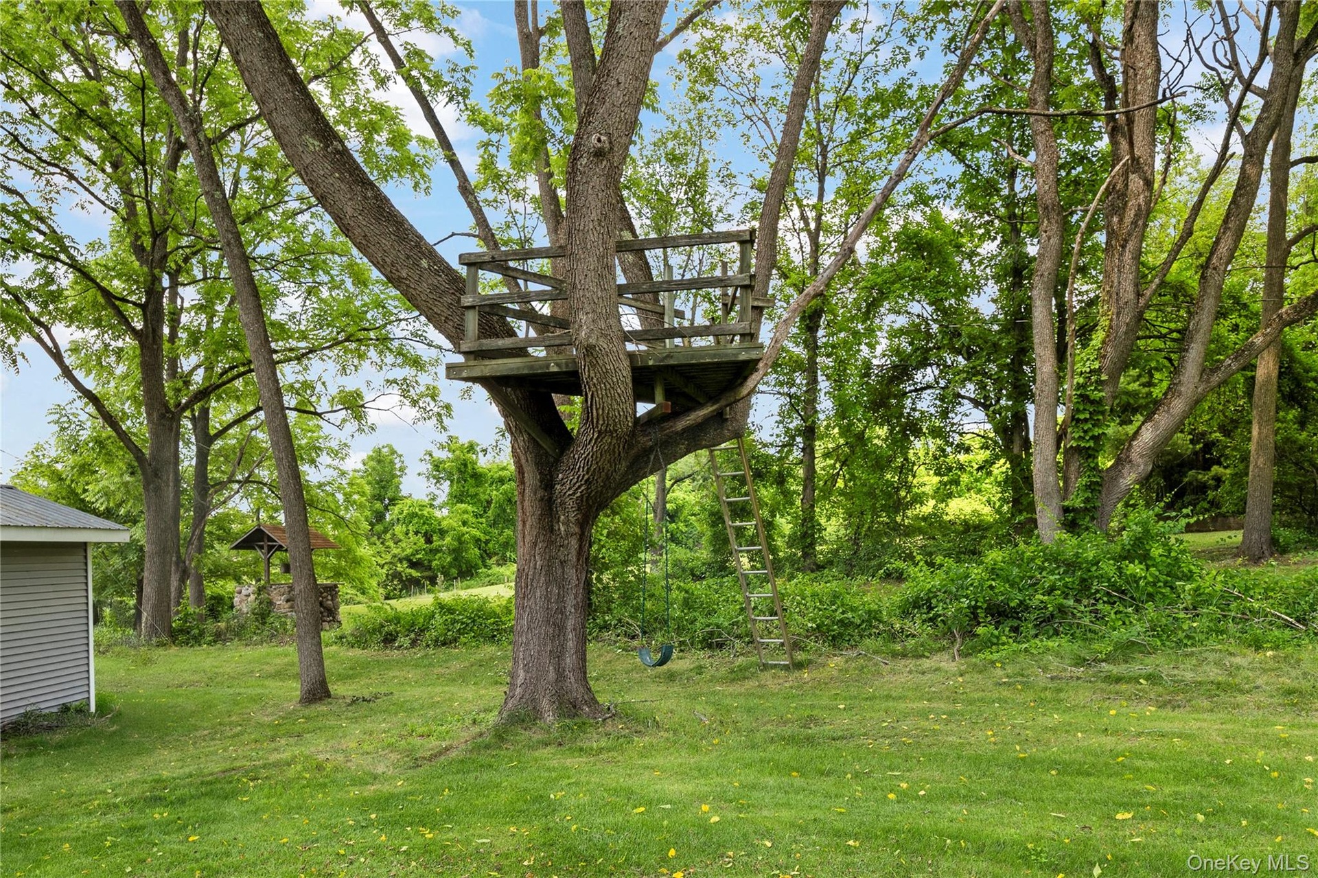 View of green lawn with a treehouse