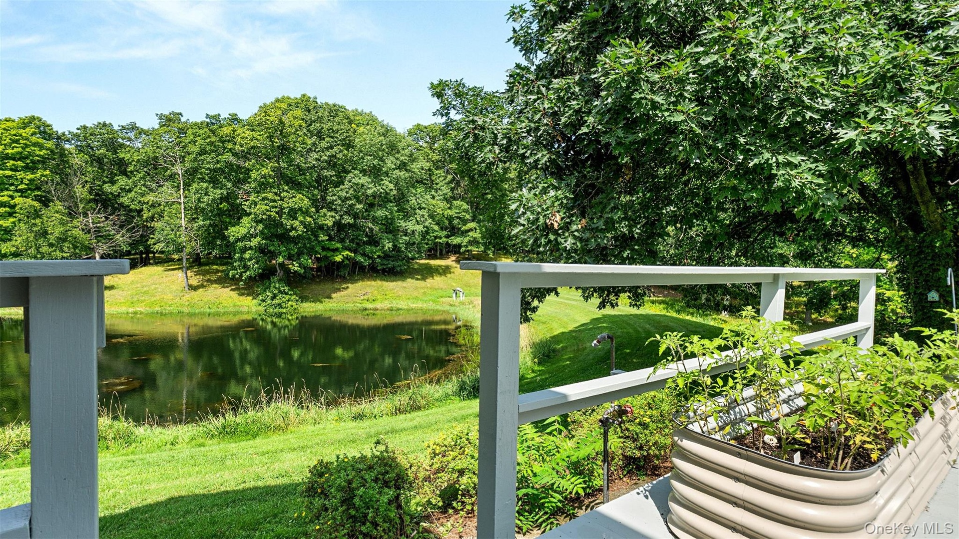 View of the swim pond from the house deck