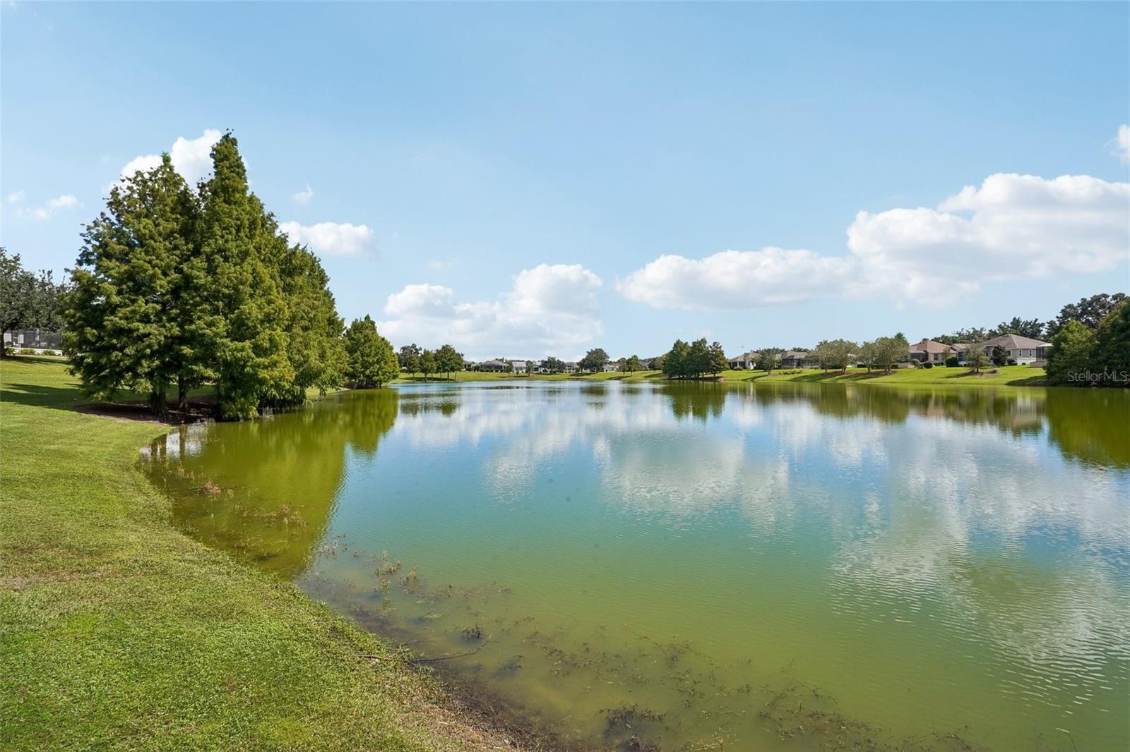 Panoramic Water View