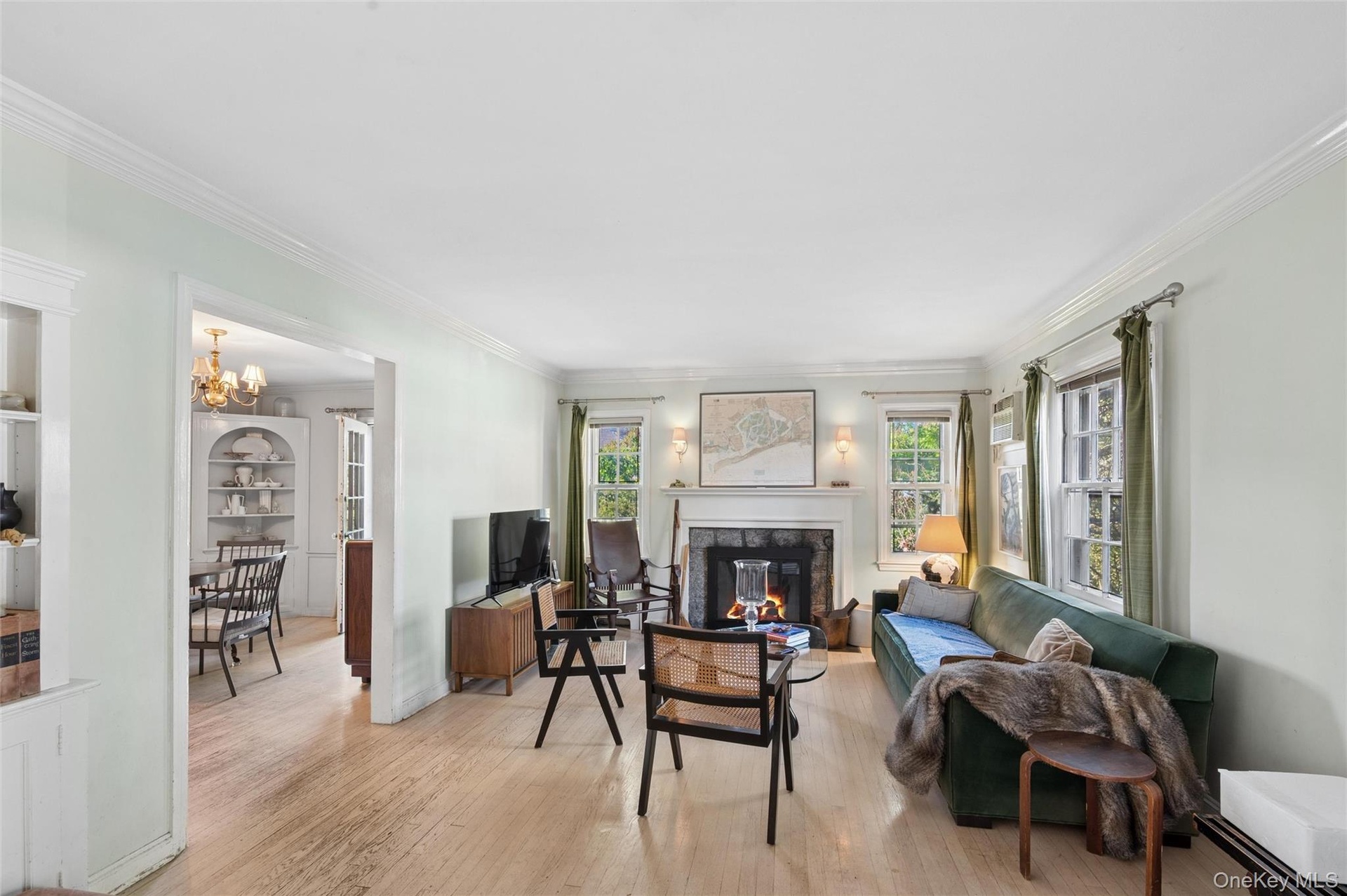 Living room featuring fireplace
