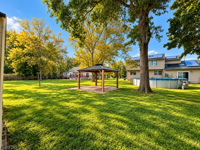 backyard 5