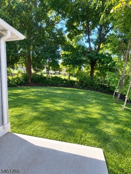 Backyard Virtually stage