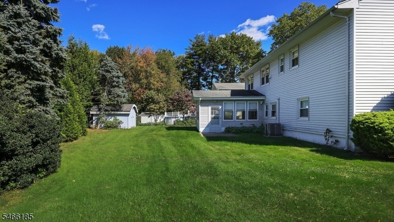 Yard
