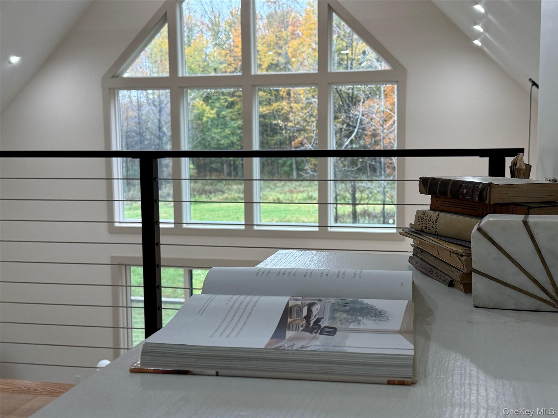 can you imagine working from home and THAT view!