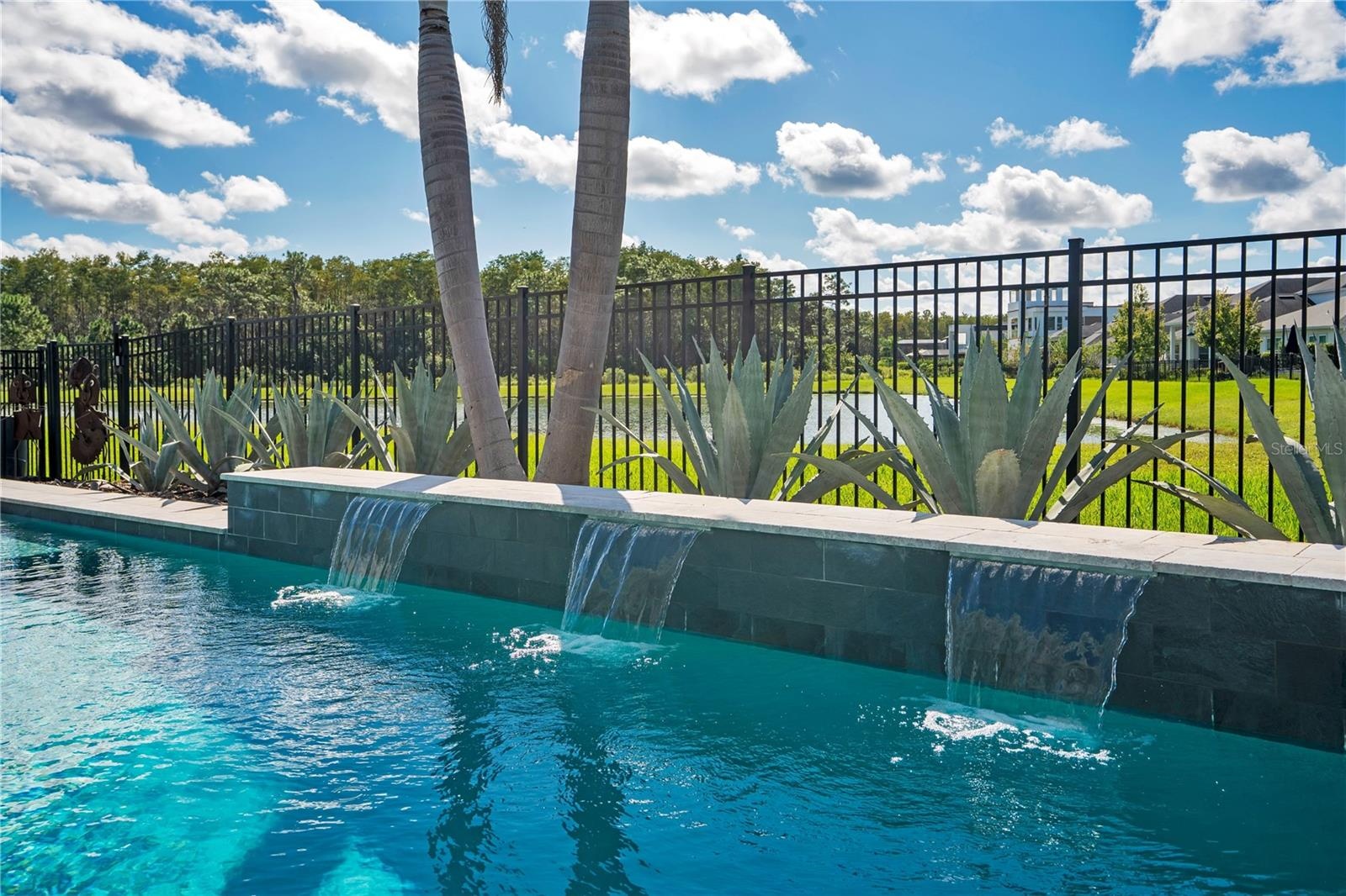 Spa spillover into the heated salt water pool with a fenced backyard and tropical landscaping.