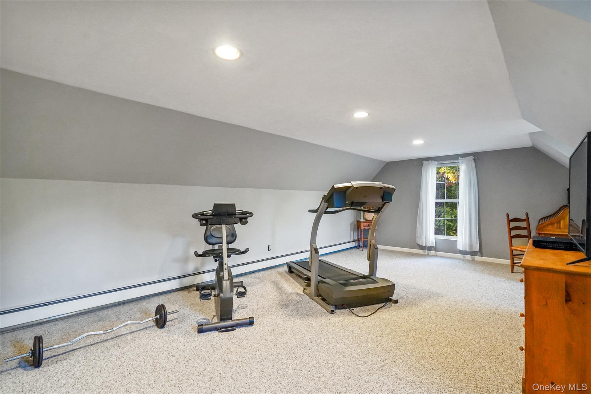 Bedroom 3 or bonus room or Gym