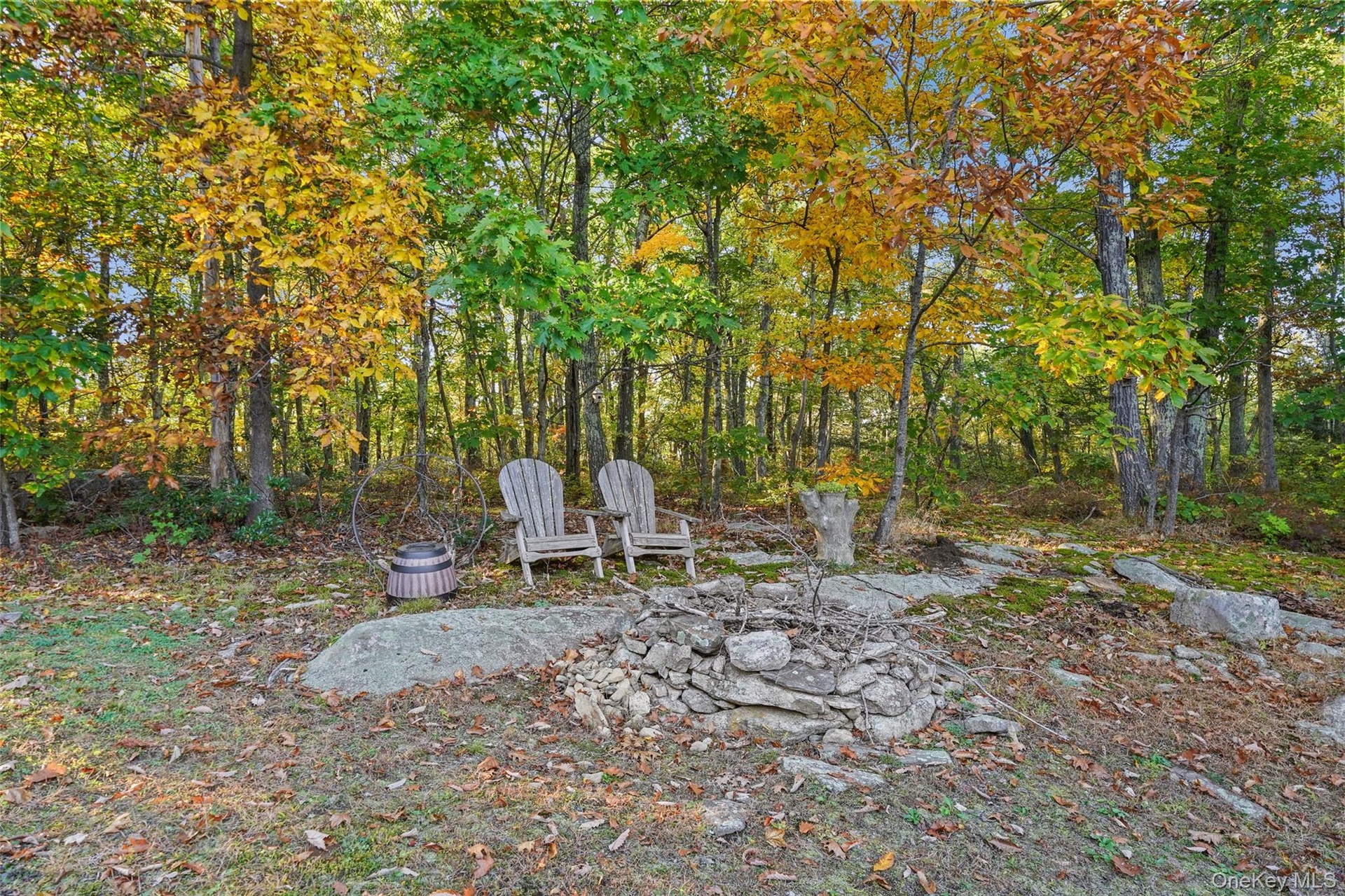 Private Rear Yard with Fire Pit