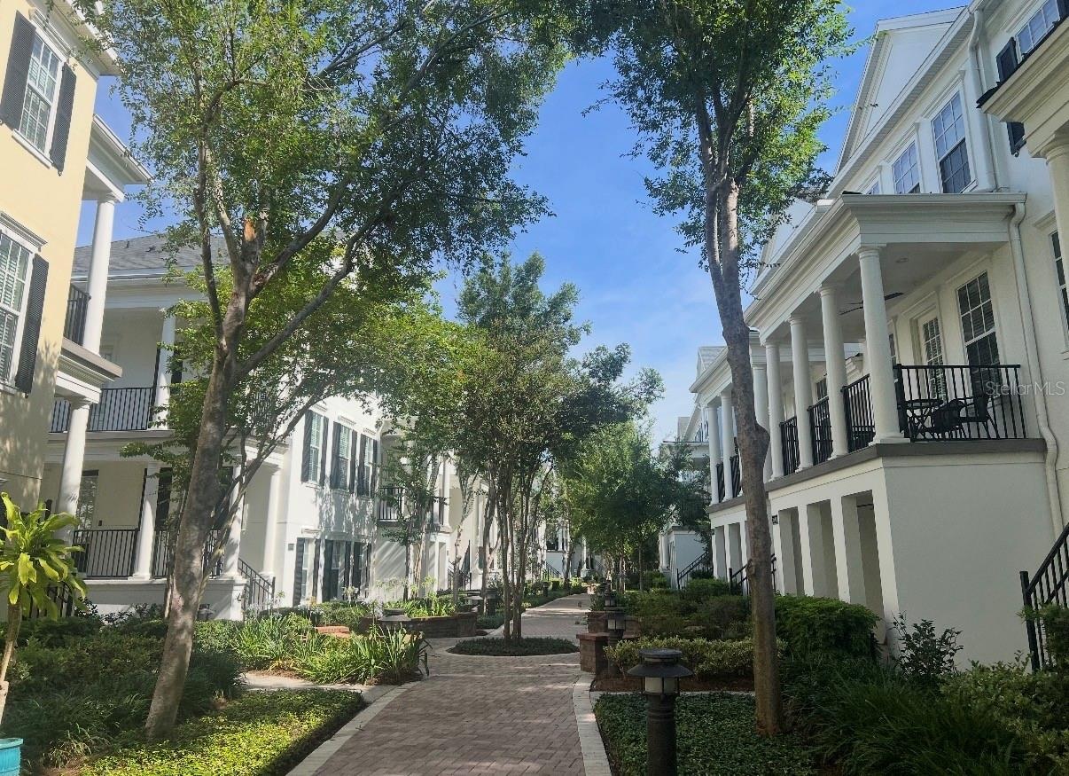 beautiful treelined mews and walking path