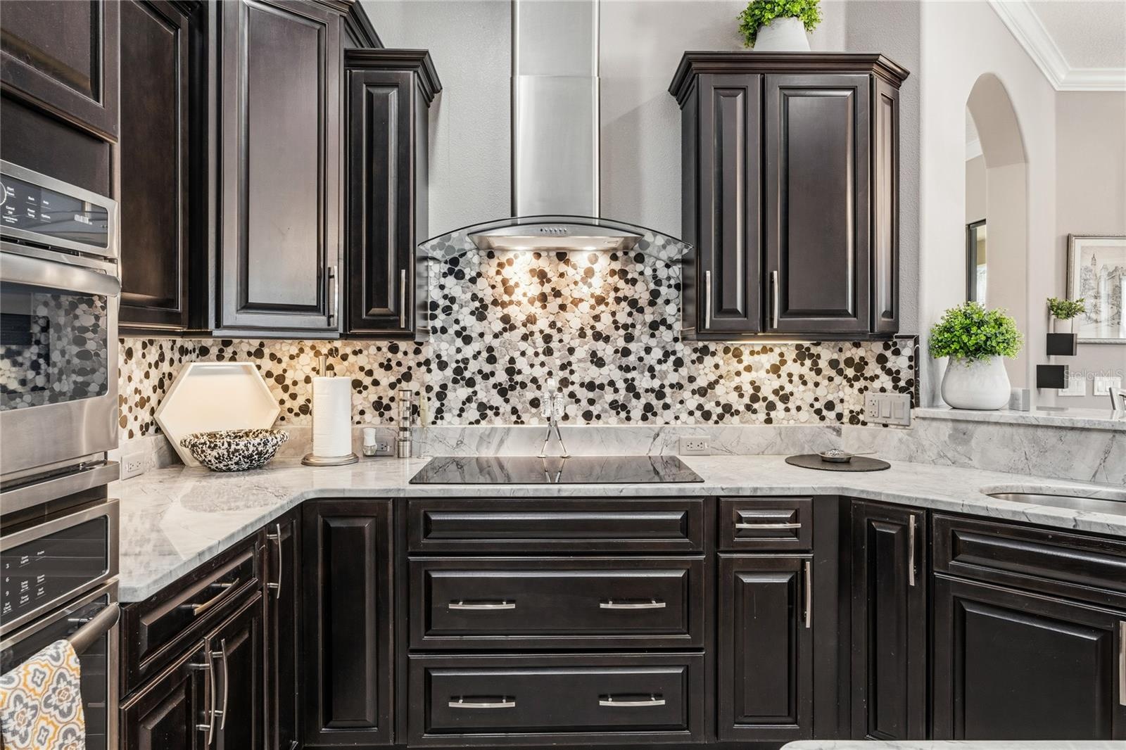 Induction Cook Top with Range Hood