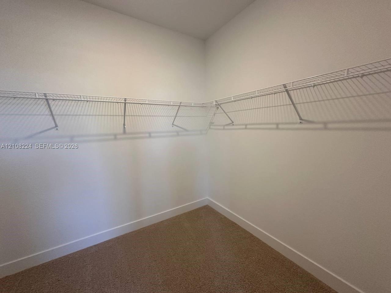 Bedroom featuring vertical wainscoting, dual windows with wall-mounted curtain rods, floating shelving, and neutral-toned wall-to-wall carpeting