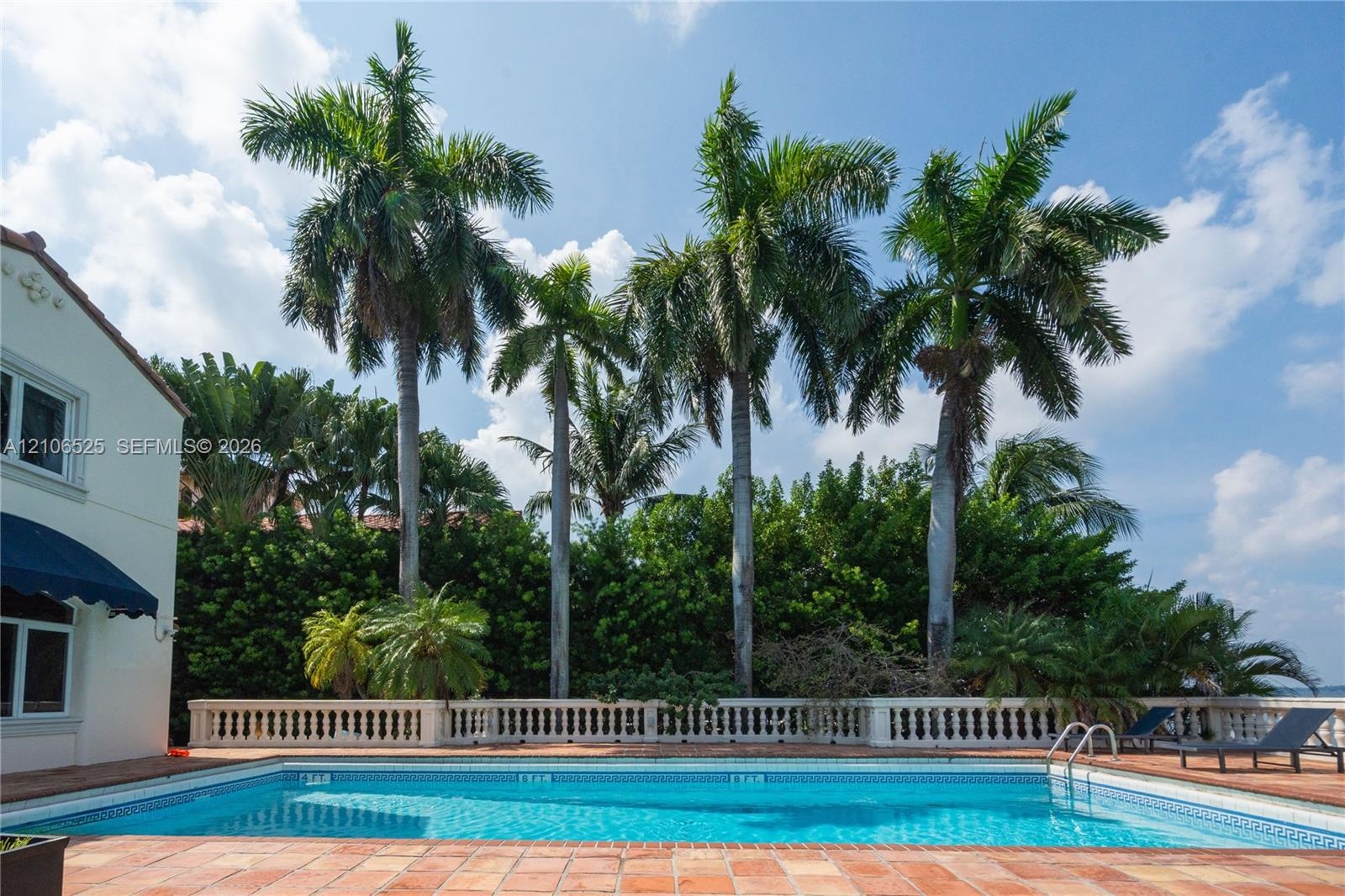 Rectangular swimming pool surrounded by a terracotta tile patio, enclosed by a classic stone balustrade, and bordered by mature palm trees and lush pr