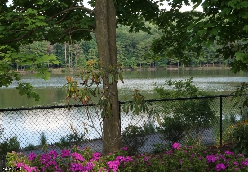 Lake w/ 1.7 mile walk/jog path