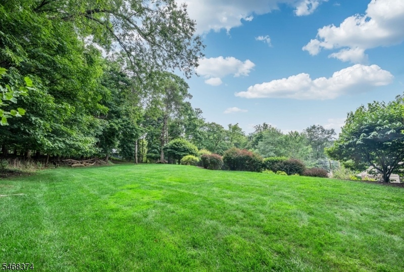 Beautiful Property
