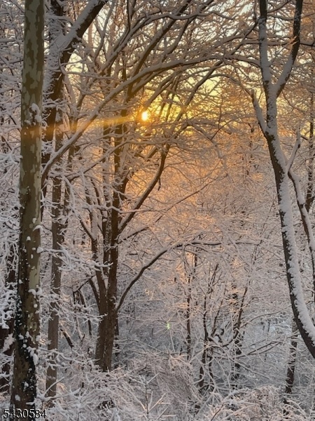 Winter View