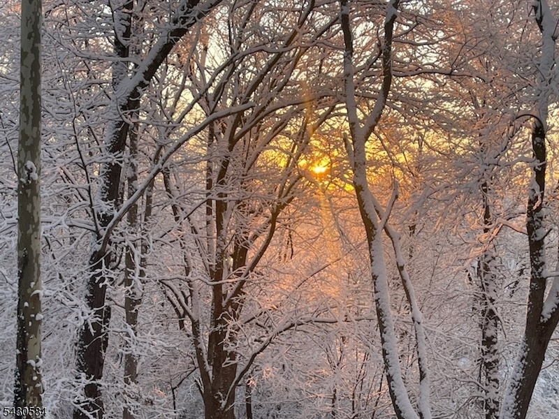 Winter View 2