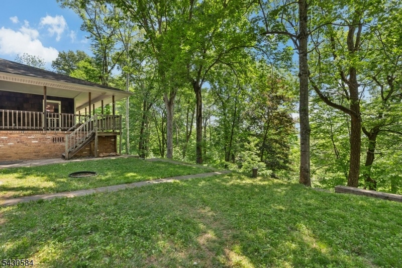Side Yard View