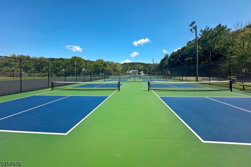 Pickle Ball