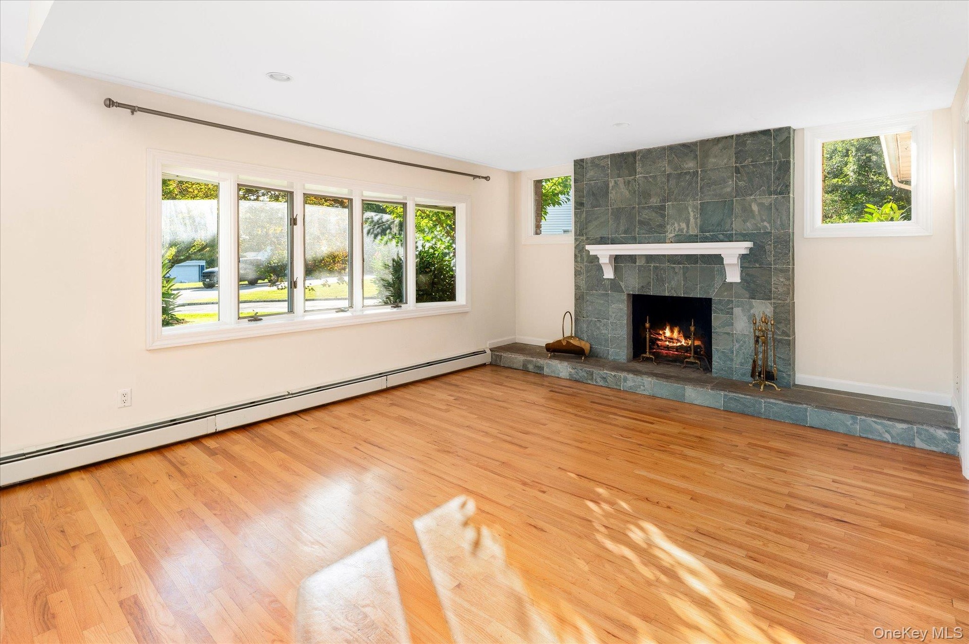 Living room with fireplace