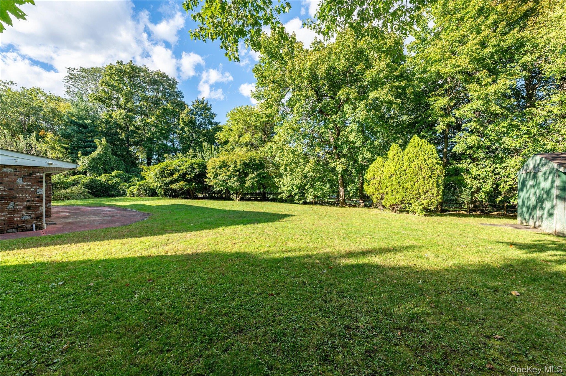 Back yard