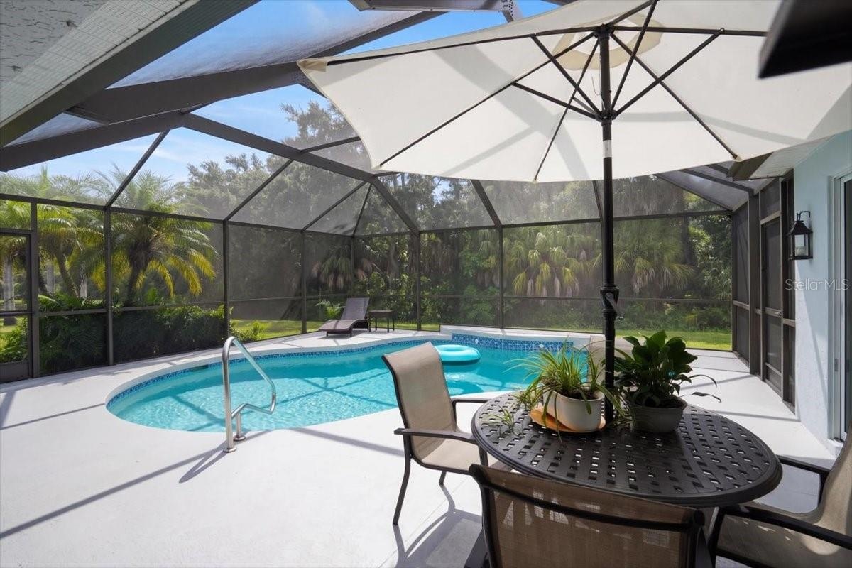 Pool/Deck