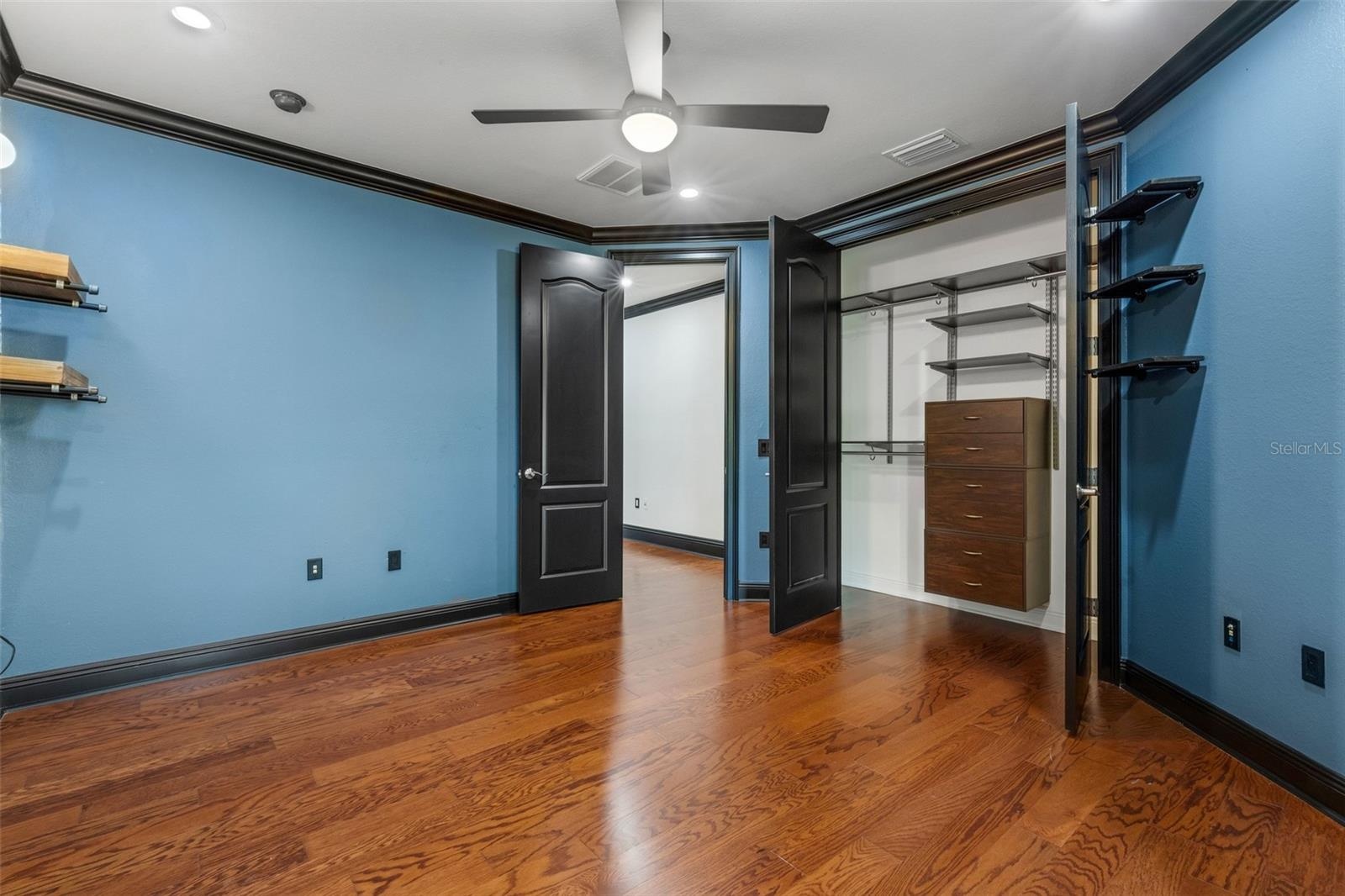 Custom interchangeable closet organizer system and dramatic accents.