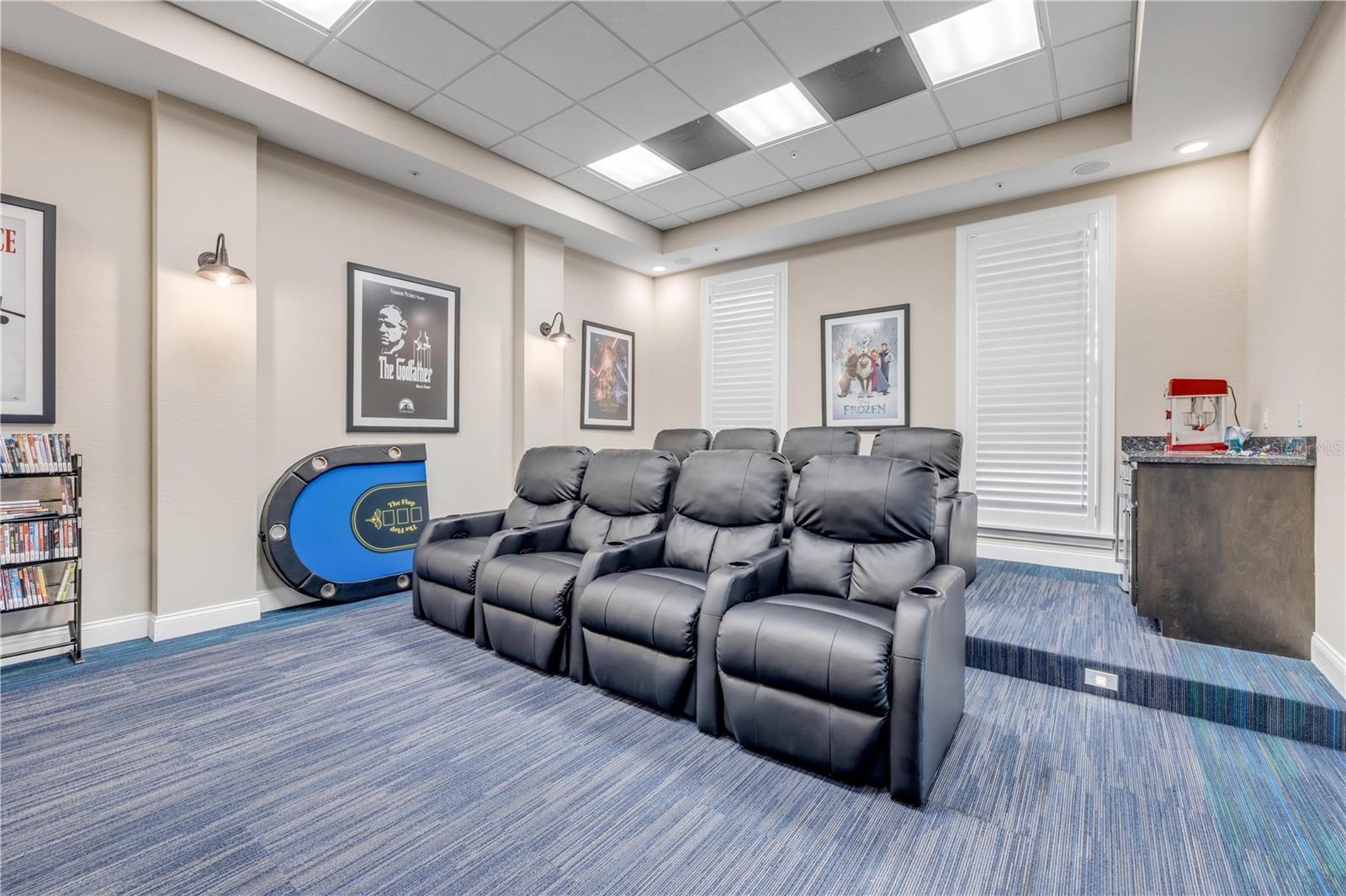 Theatre Room