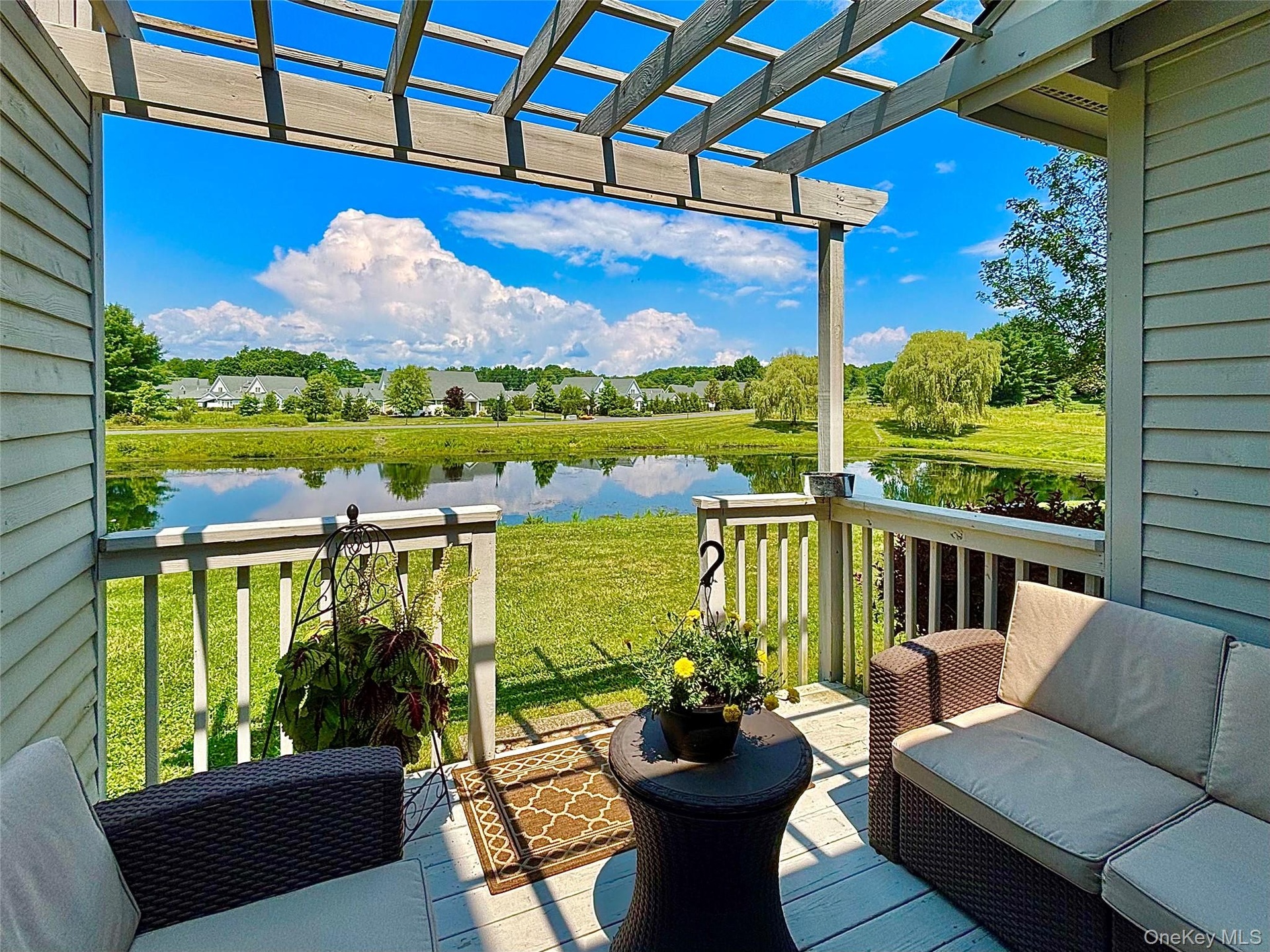 Deck and pond