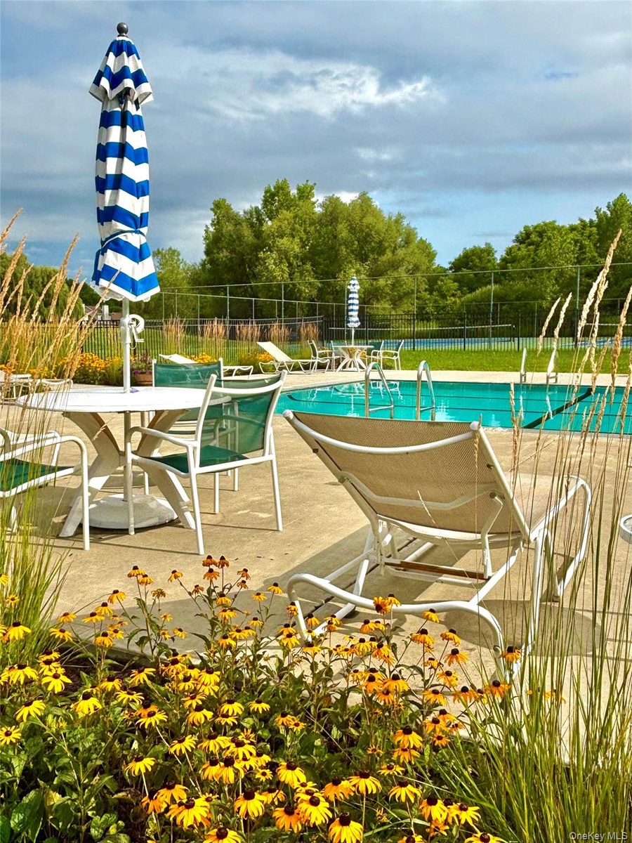 Pool and lounge chairs