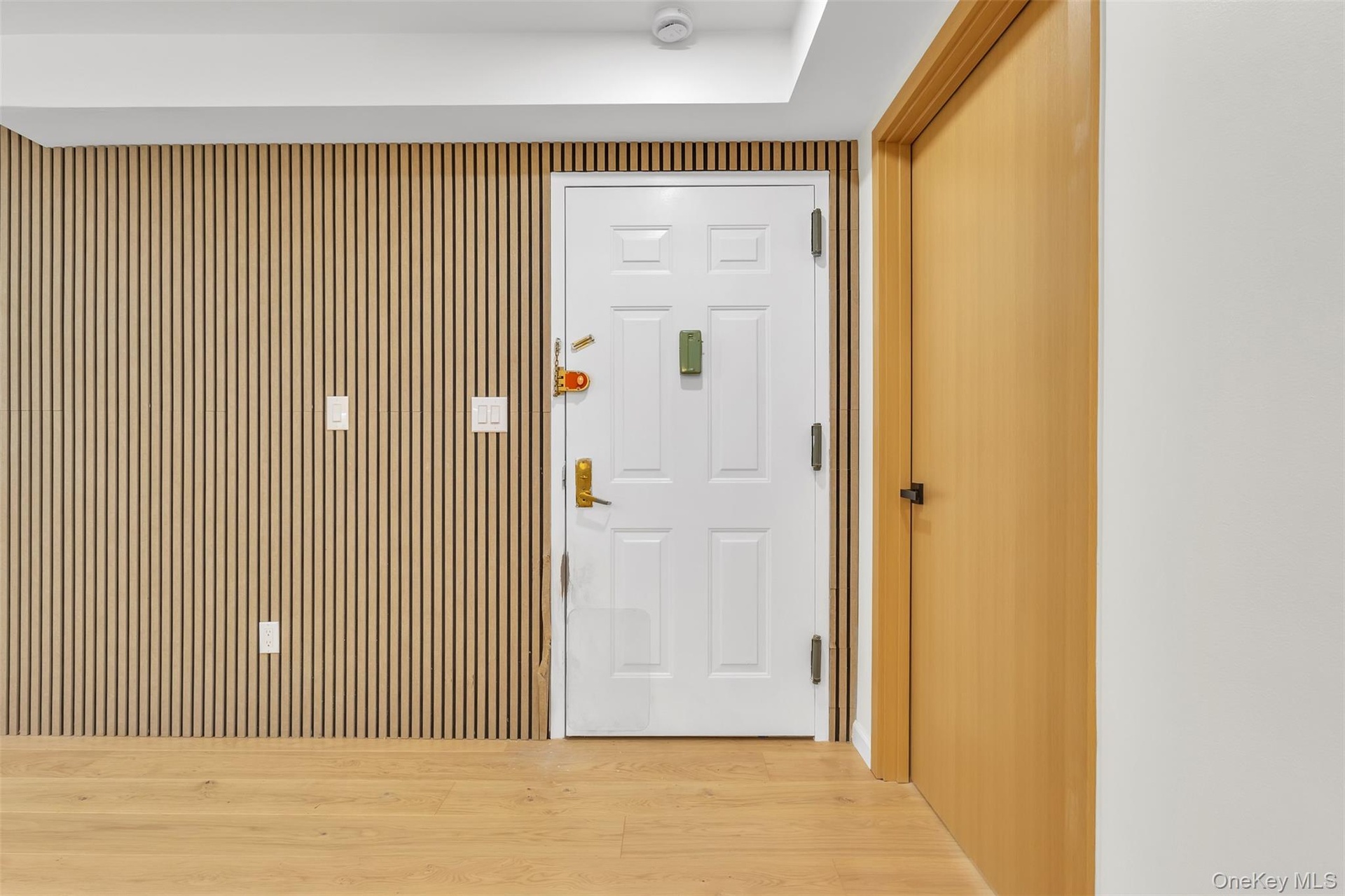 Vertical wood-slat wall paneling, white six-panel entry door with brass-finish hardware, wood-finish flooring, and solid-core interior door with match