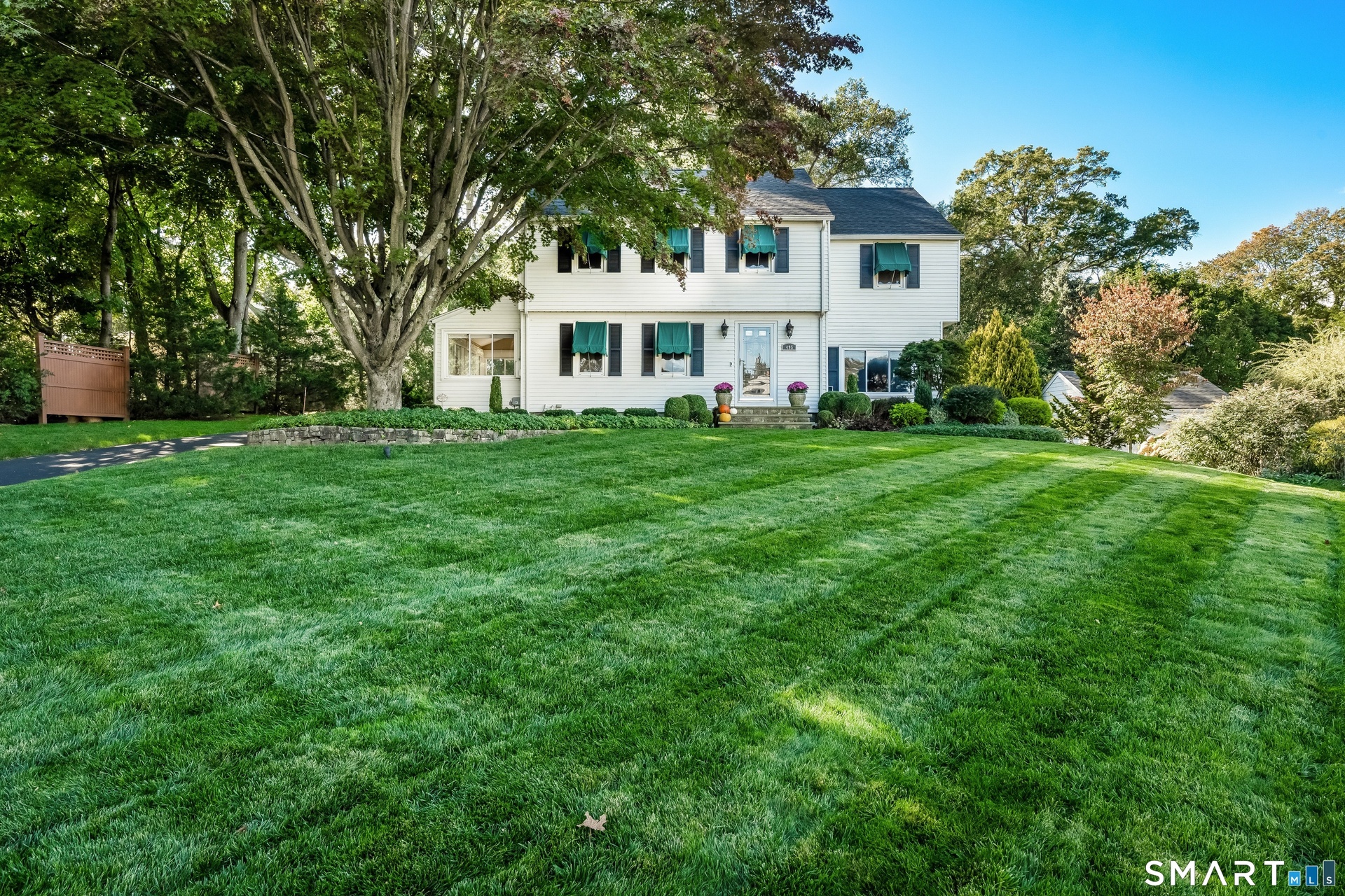 Front Yard