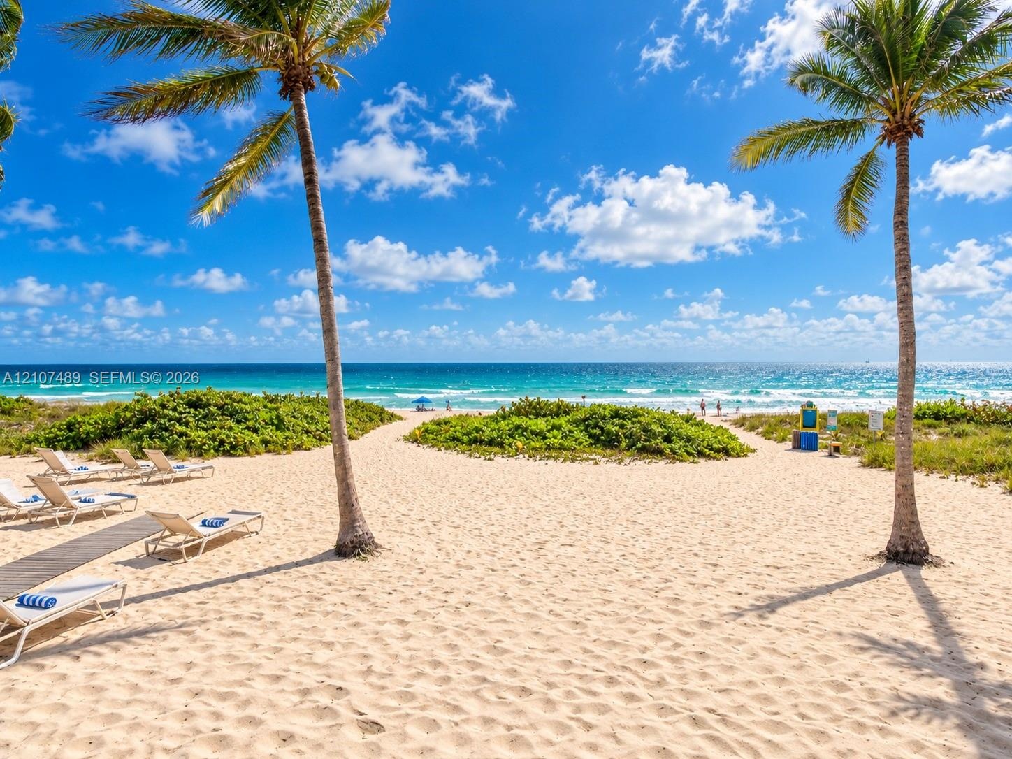 Direct beach access featuring expansive sandy terrain, mature palm trees, and native coastal vegetation