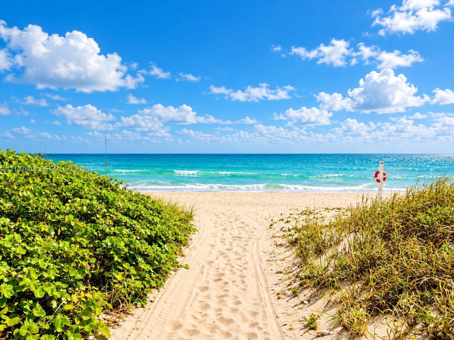 Sandy path featuring coastal vegetation and direct oceanfront access