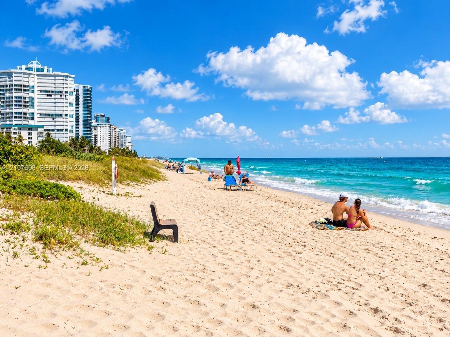 Sandy beach shoreline with native coastal vegetation and a permanent outdoor bench