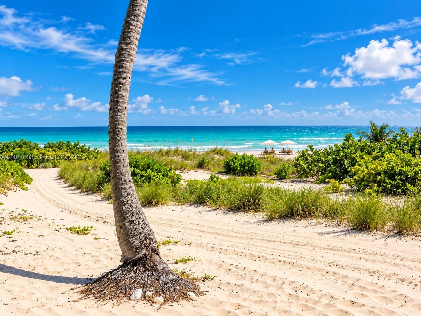 Sandy shoreline featuring native dune vegetation, tropical palm trees, and direct ocean access