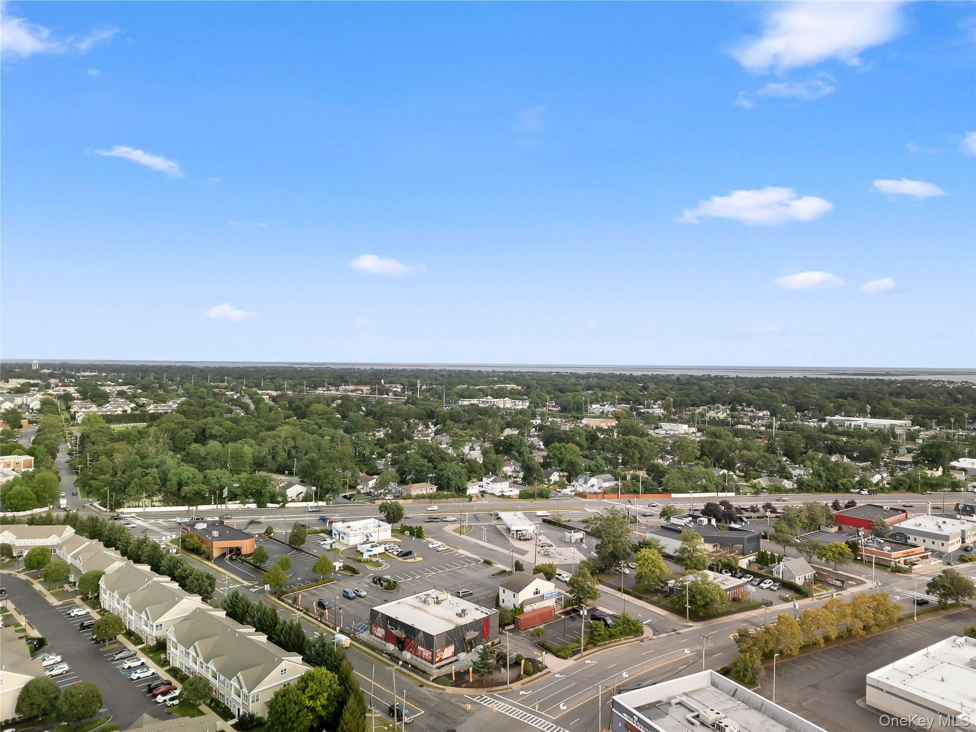 Drone / aerial view of a tree filled landscape
