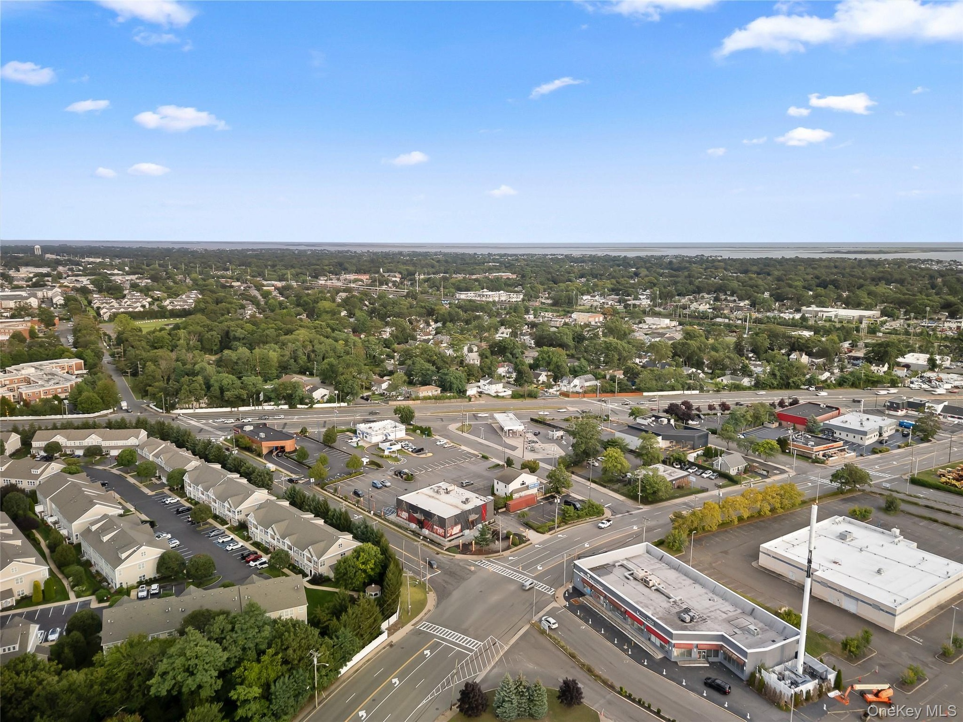 Aerial view of a tree filled landscape