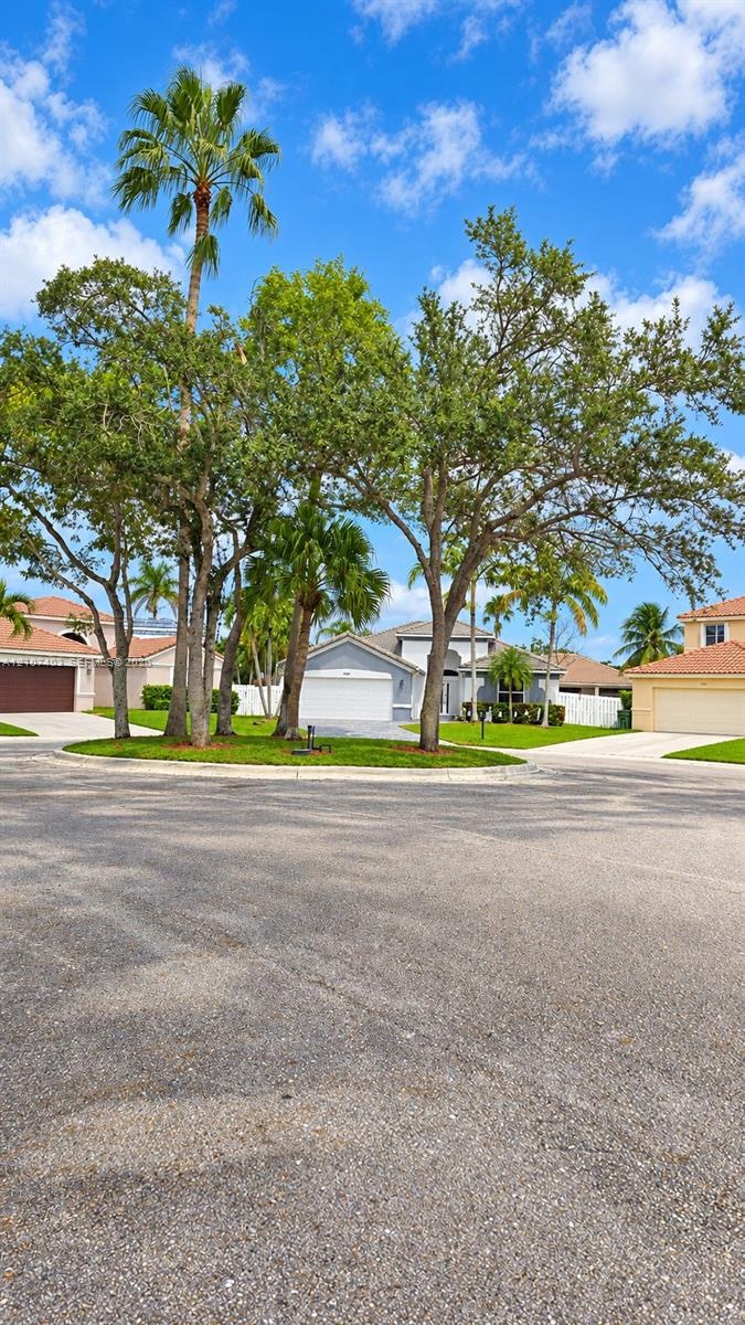 Exterior profile featuring a concrete tile roof, light-toned stucco facade, paved driveway, and mature landscaping with palm trees