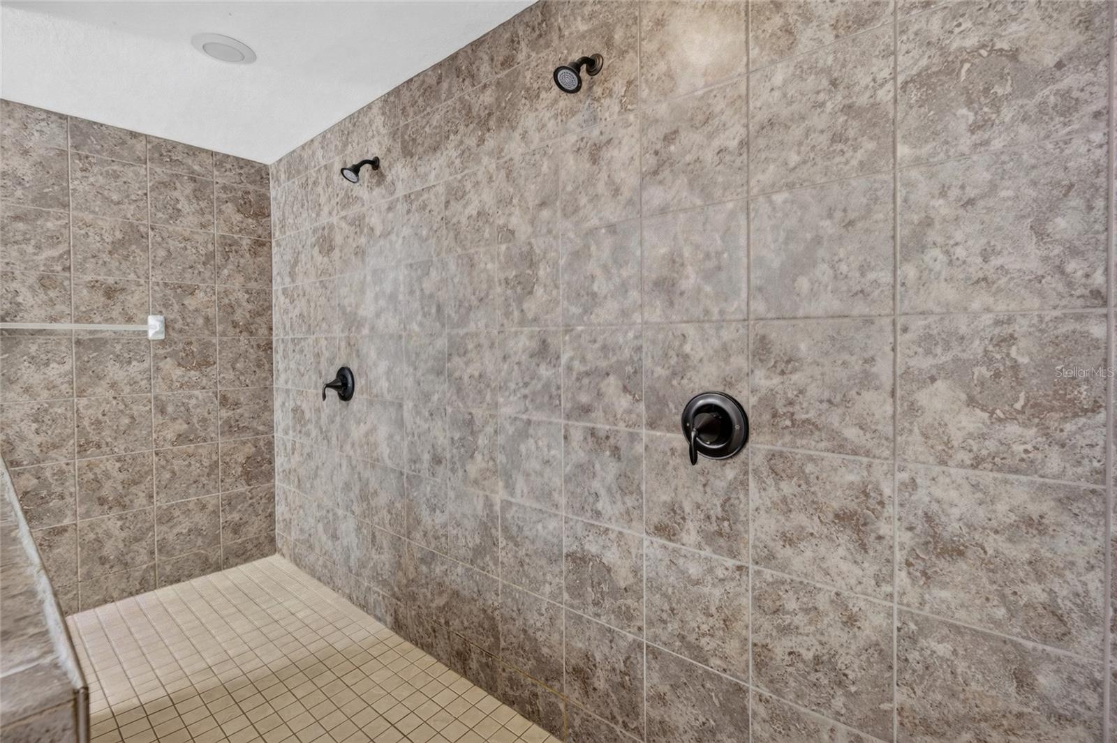 Dual Head Shower