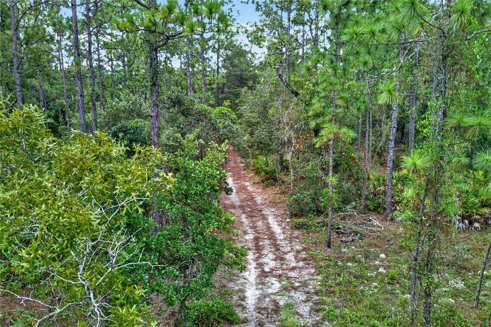 25+ miles of equestrian trails.