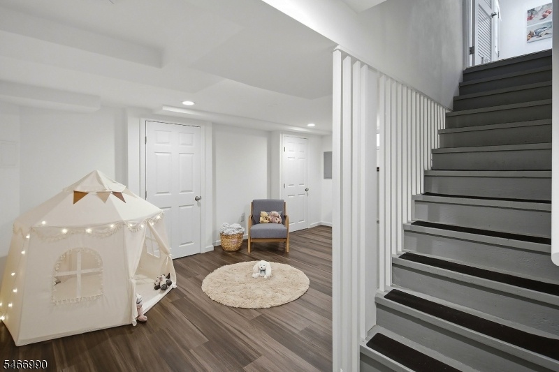 Basement Recreation Room