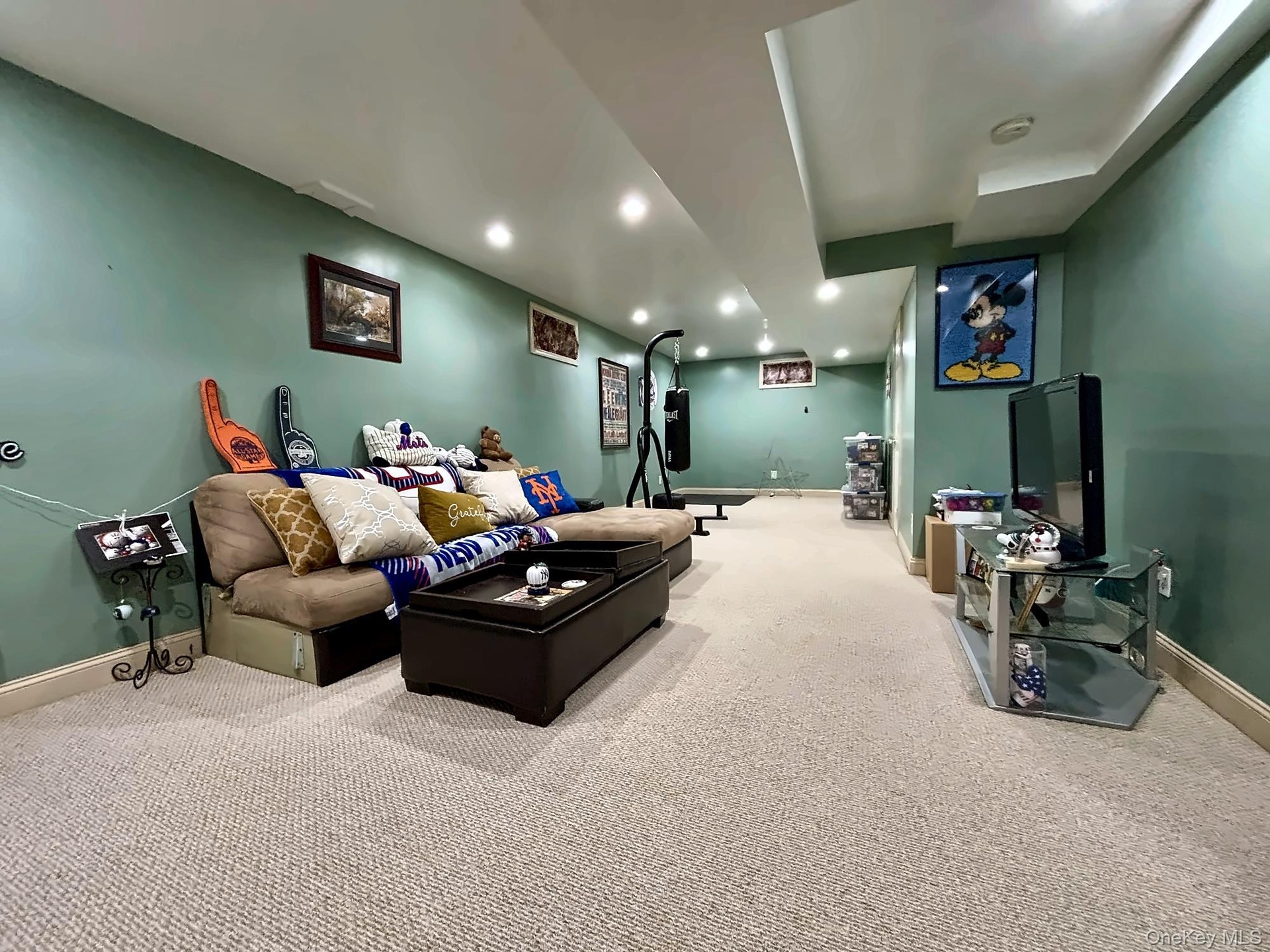 Fully Finished Basement